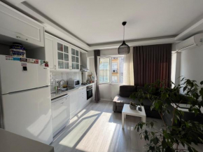 The peace in your home is here…